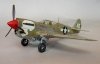 Hasegawa A9 P-40N Warhawk (1:72)